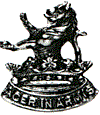 7th Coy Wellington Bn Badge